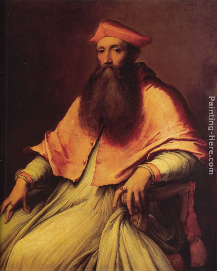 Portrait of Cardinal Reginald Pole painting - Sebastiano del Piombo Portrait of Cardinal Reginald Pole art painting